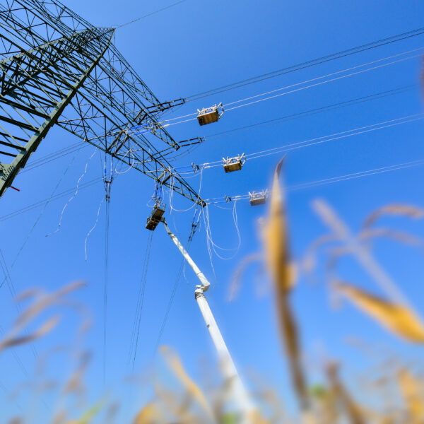 Seilzug und Stringing von Leiterseilen an einem Freileitungsmast